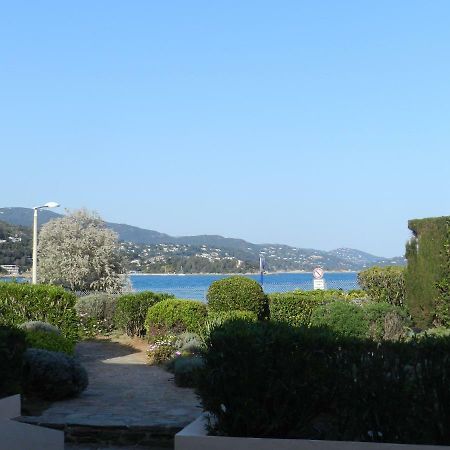 Appartement Les Pieds Dans L'Eau ! Le Lavandou Dış mekan fotoğraf