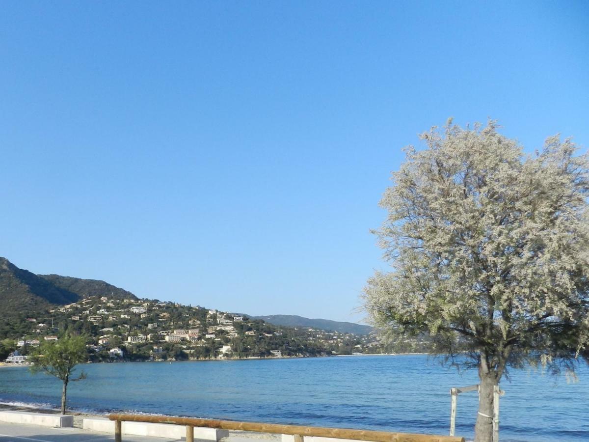 Appartement Les Pieds Dans L'Eau ! Le Lavandou Dış mekan fotoğraf